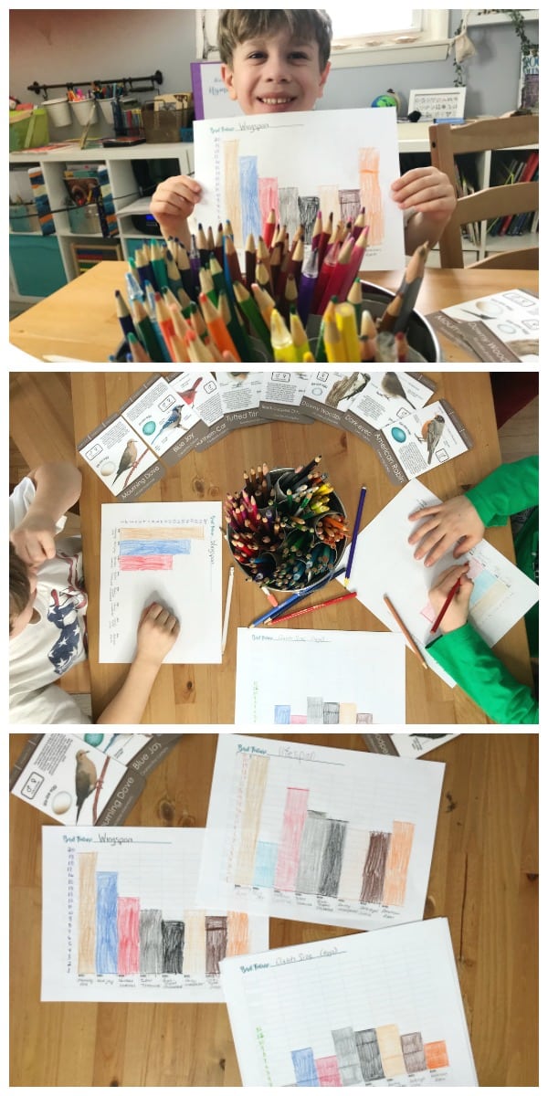 Collage with boy holding graph at top, children making graphs at cetner, and finished graphs at bottom