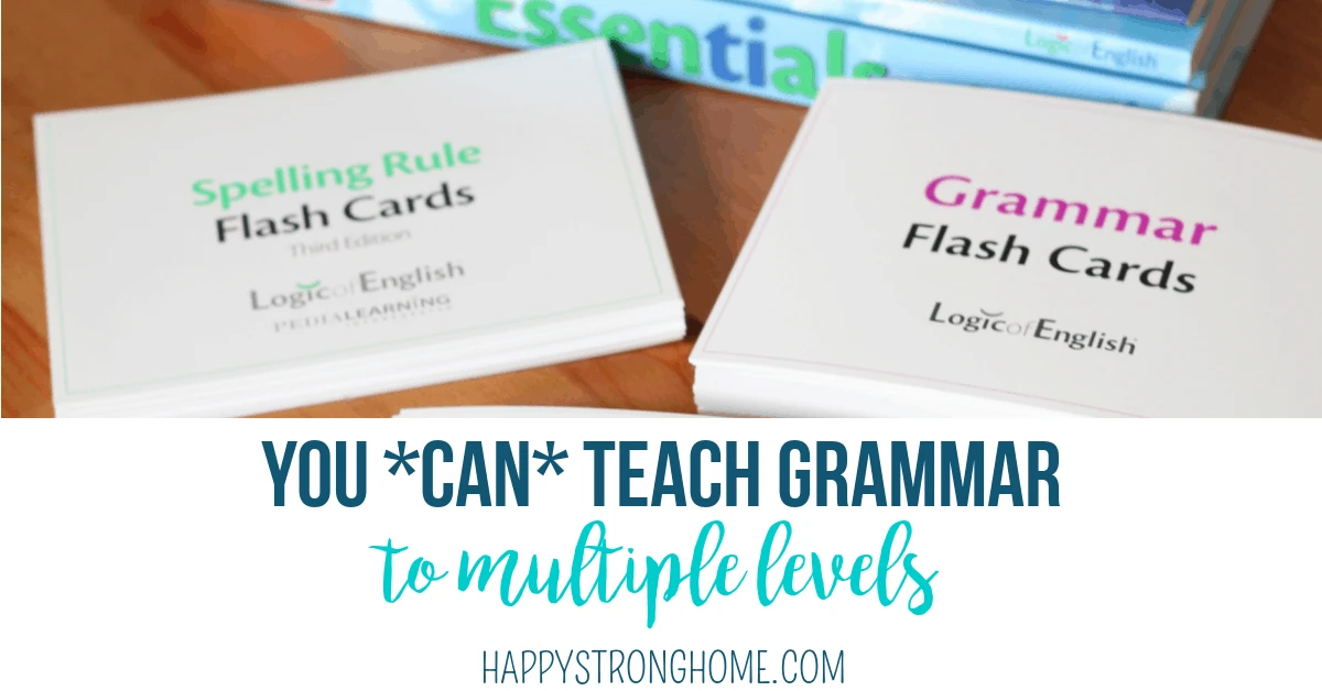 Teach Grammar to Multiple Levels 