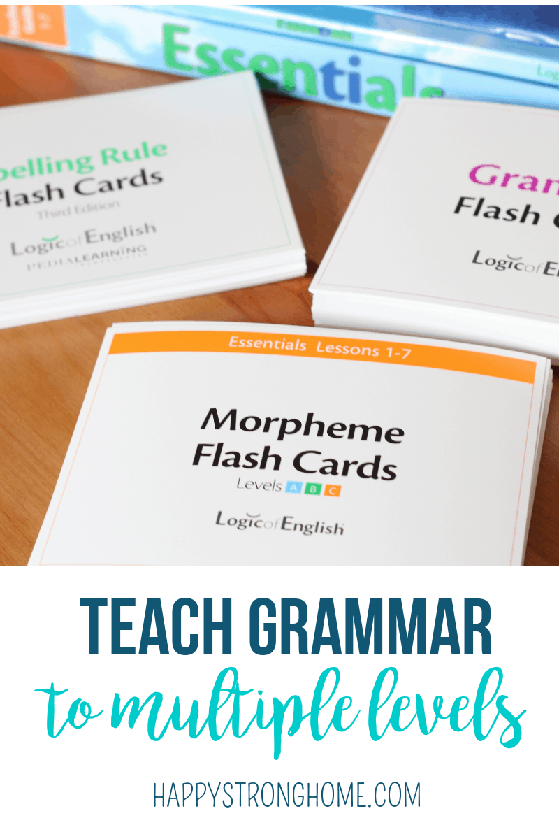Teach Grammar to Multiple Levels 