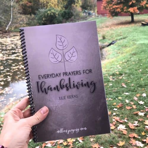 A person holding a purple Thanksgiving devotional book