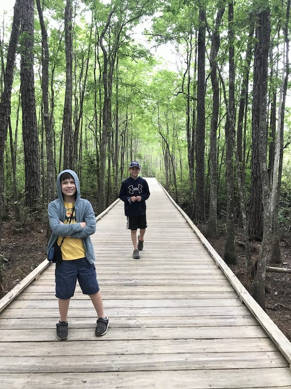 A person walking down a wooden boardwalk next to a forest