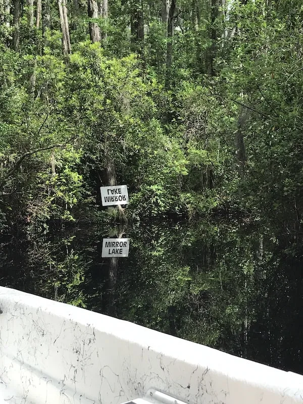 Swamp and Water