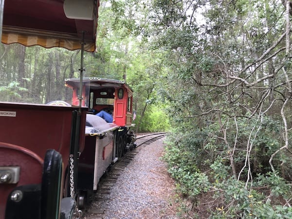 View of a train engine from the back going down tracks in the woods