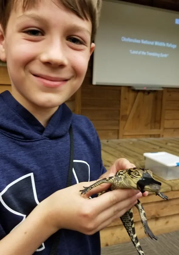 Child holding baby alligator