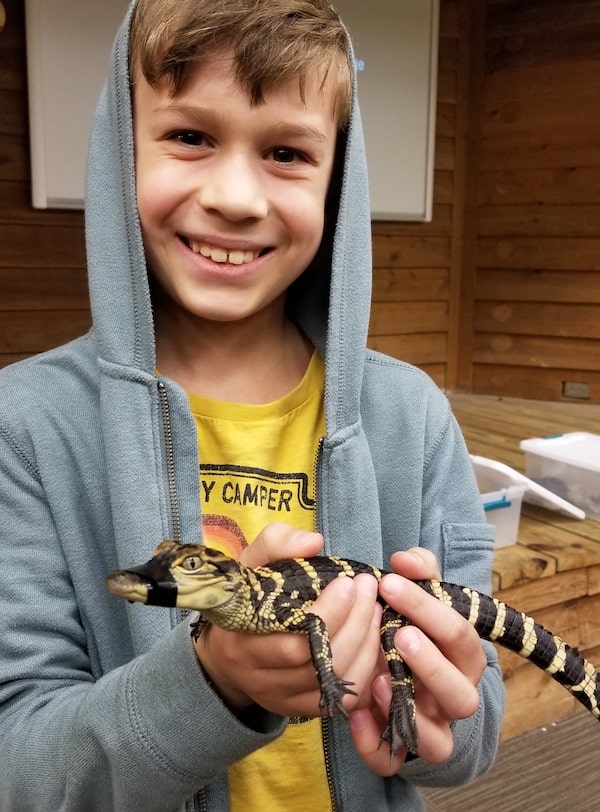 A person holding a reptile