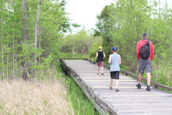 People walking up a wooden boardwalk in the woods