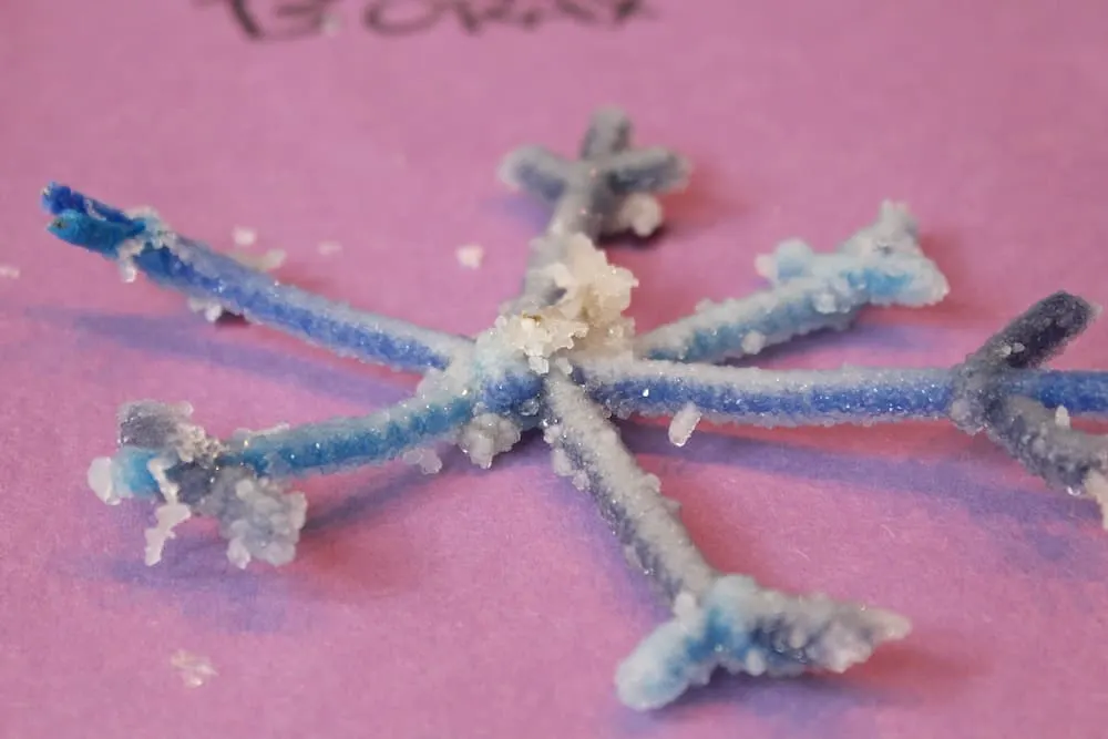 close up of blue pipe cleaner snowflake shape covered in small borax crystals