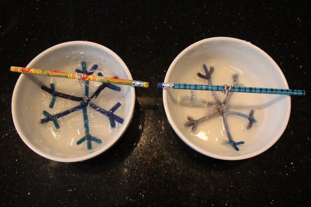 two bowls with pipe cleaners shaped like snow crystals for science experiment 