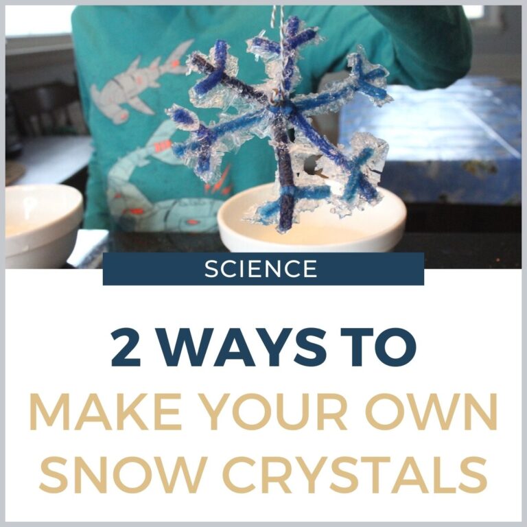 Two Ways to Make Your Own Snow Crystals