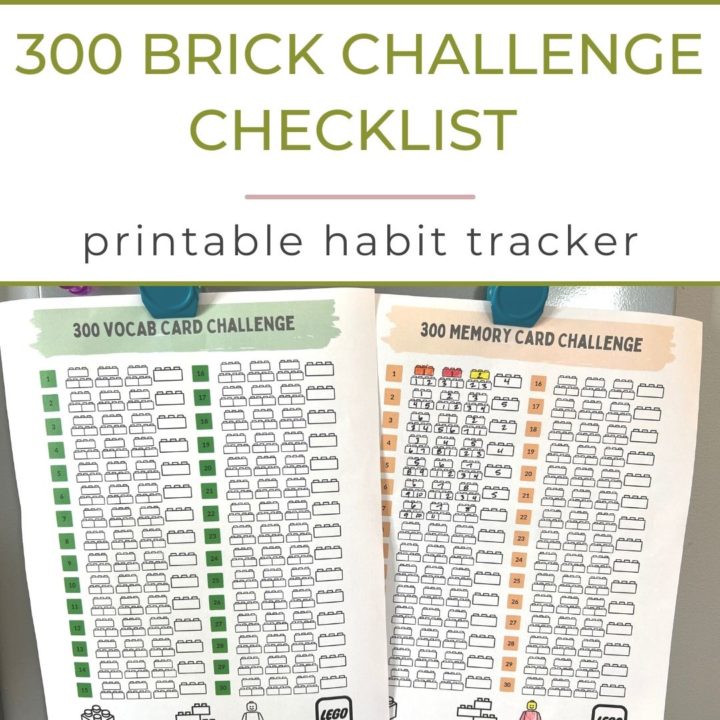300 Brick Challenge Checklist Printable