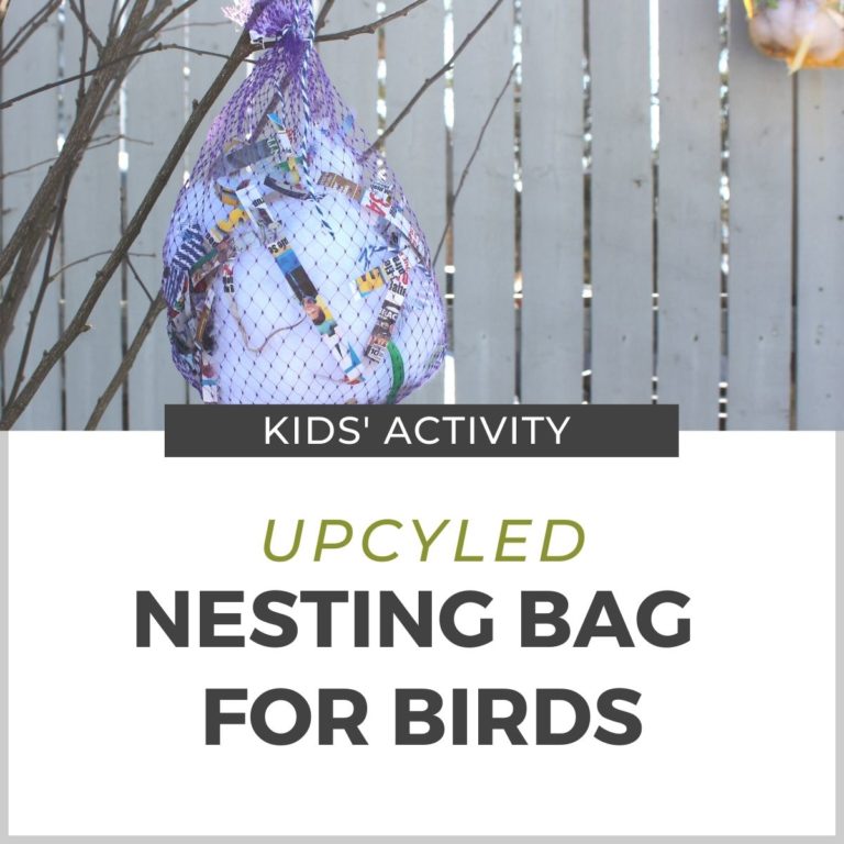 An Easy Nesting Bag for Birds: Recycled Materials Project