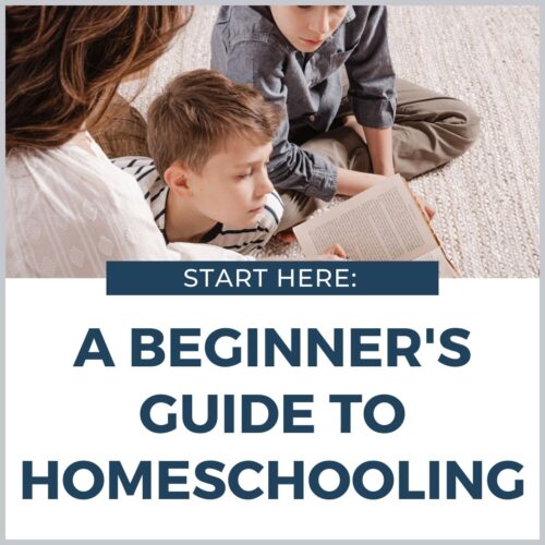 A Beginner’s Guide To Homeschooling - It’s Easier Than You Think ...