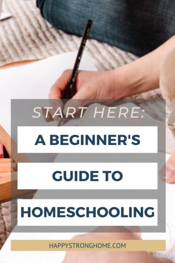 A Beginner’s Guide To Homeschooling - It’s Easier Than You Think ...