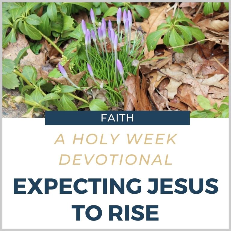 A Holy Week Devotional: Expecting Jesus to Rise