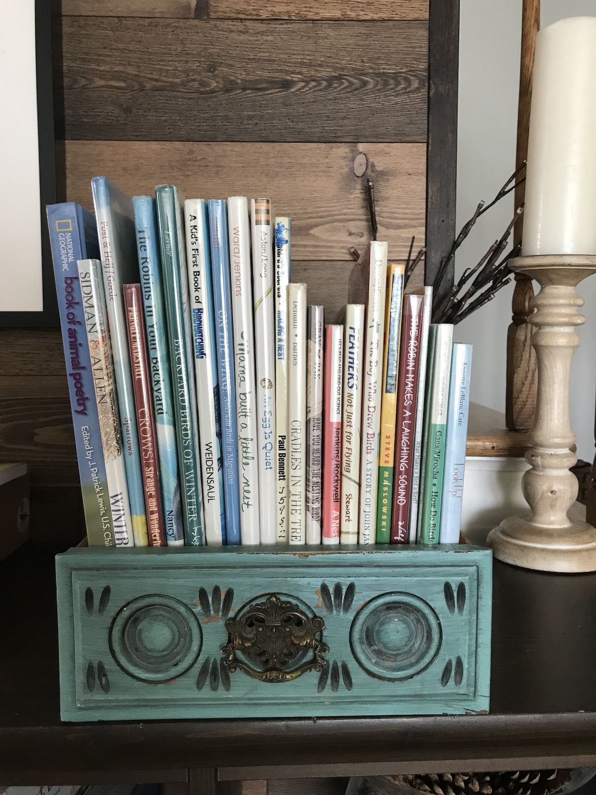 Collection of picture books in a blue drawer. Read a variety of books to create strong readers